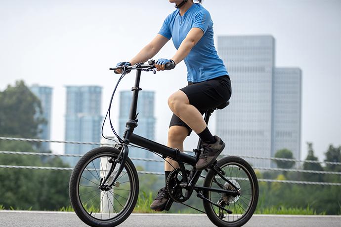 Folding Bike