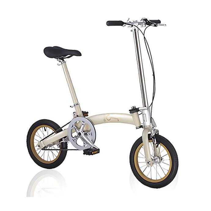 Folding Bike